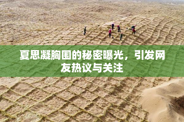夏思凝胸围的秘密曝光，引发网友热议与关注