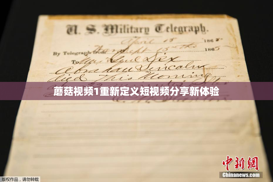 蘑菇视频1重新定义短视频分享新体验