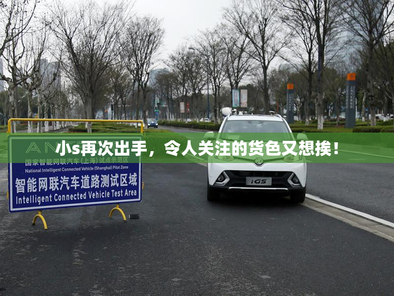 小s再次出手，令人关注的货色又想挨！