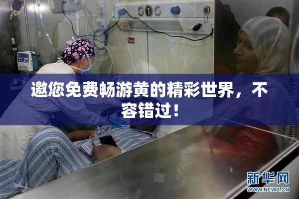邀您免费畅游黄的精彩世界，不容错过！