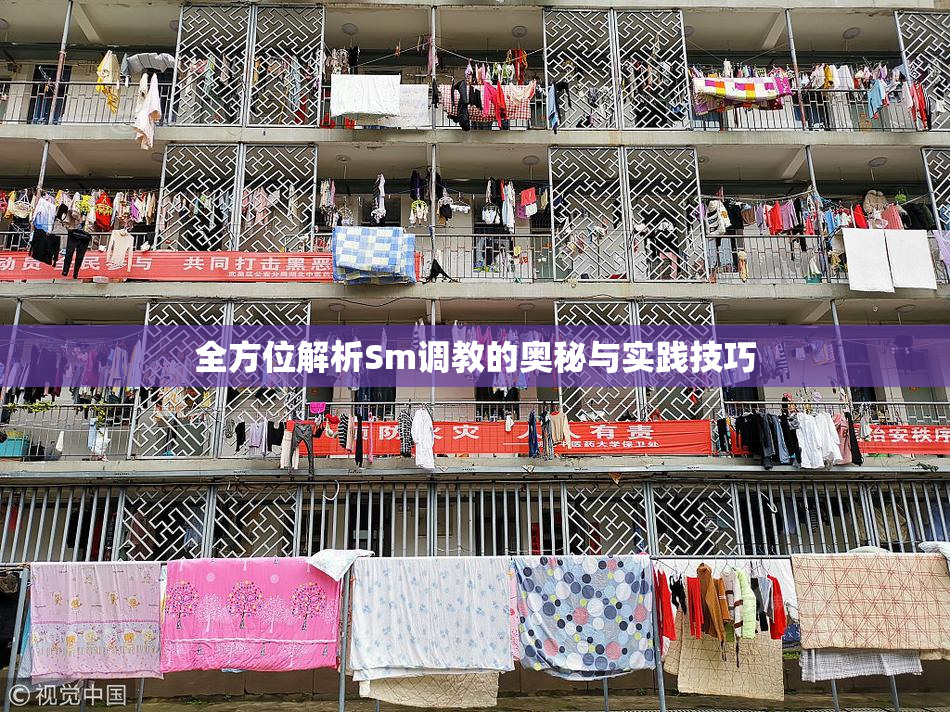 全方位解析Sm调教的奥秘与实践技巧