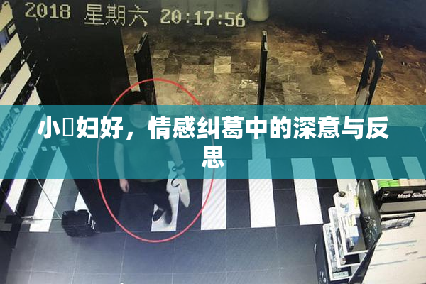 小婬妇好，情感纠葛中的深意与反思