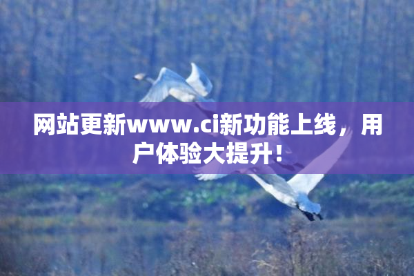 网站更新www.ci新功能上线，用户体验大提升！