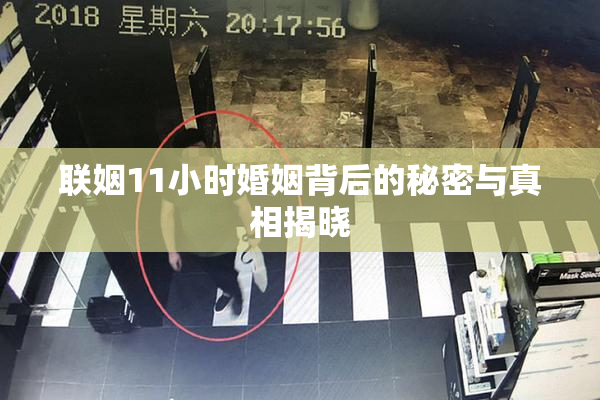 联姻11小时婚姻背后的秘密与真相揭晓