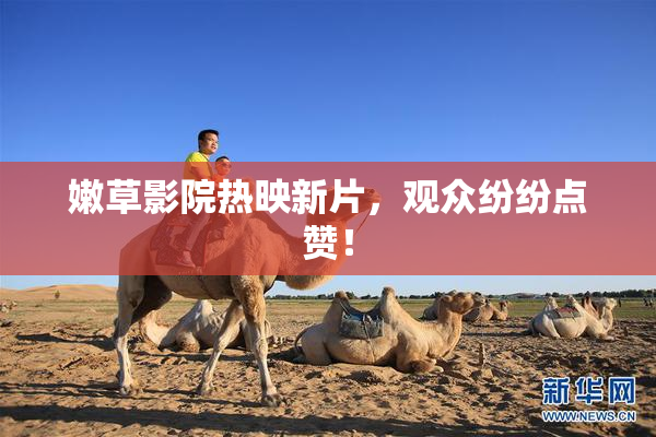 嫩草影院热映新片，观众纷纷点赞！