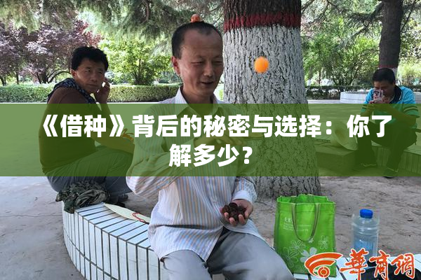 《借种》背后的秘密与选择：你了解多少？