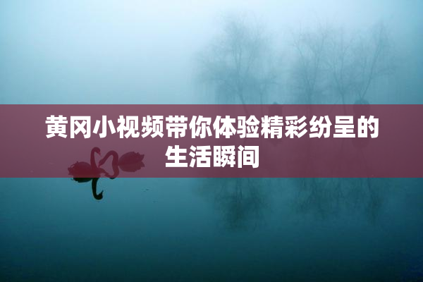 黄冈小视频带你体验精彩纷呈的生活瞬间