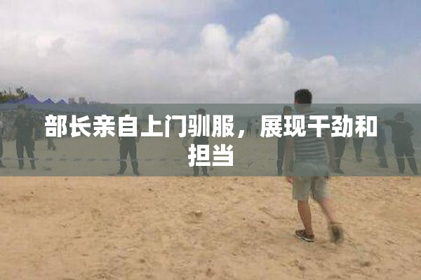 部长亲自上门驯服，展现干劲和担当