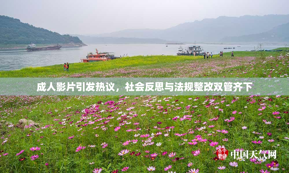成人影片引发热议，社会反思与法规整改双管齐下