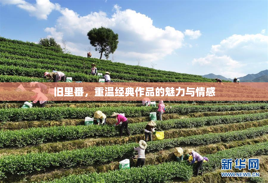 旧里番，重温经典作品的魅力与情感