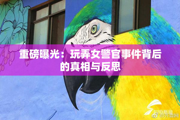 重磅曝光：玩弄女警官事件背后的真相与反思