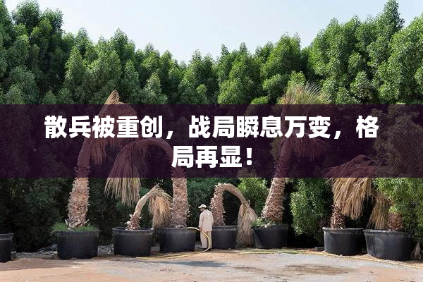 散兵被重创，战局瞬息万变，格局再显！