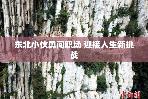 东北小伙勇闯职场 迎接人生新挑战
