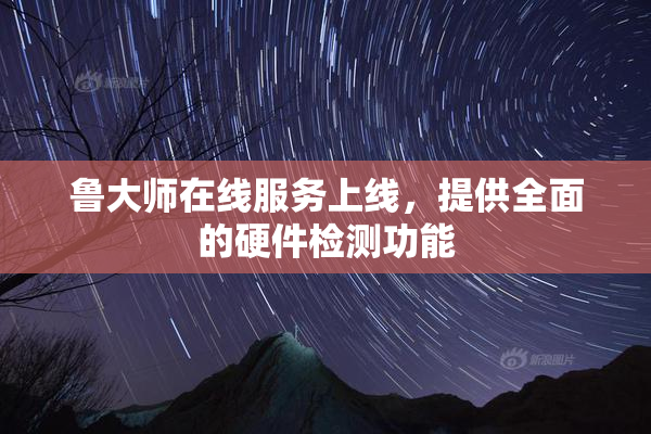 鲁大师在线服务上线，提供全面的硬件检测功能
