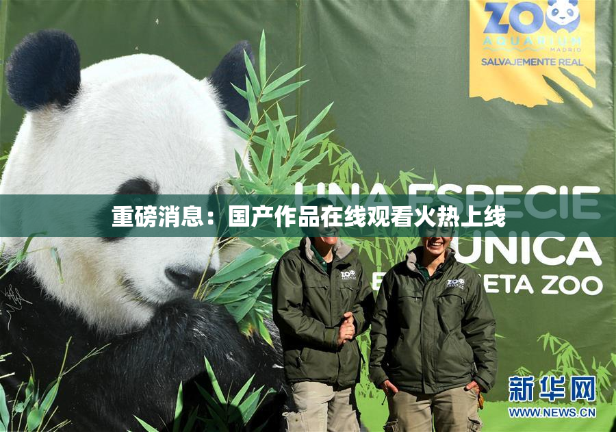 重磅消息：国产作品在线观看火热上线