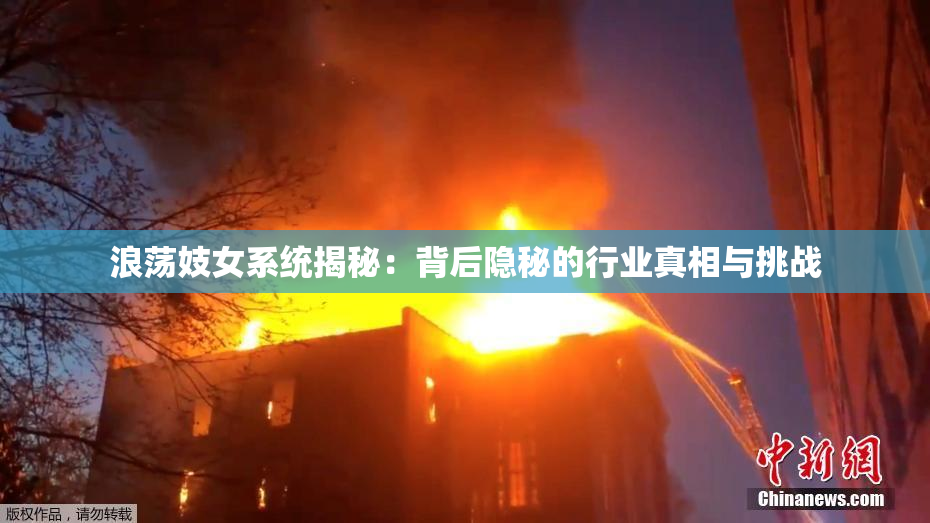 浪荡妓女系统揭秘：背后隐秘的行业真相与挑战