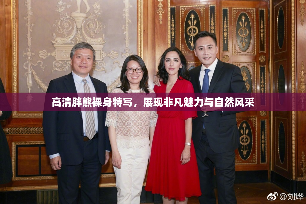 高清胖熊裸身特写，展现非凡魅力与自然风采