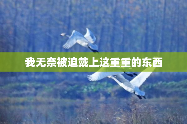 我无奈被迫戴上这重重的东西