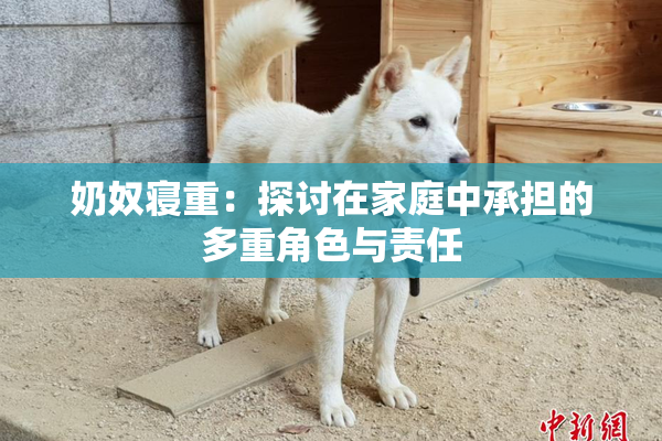 奶奴寝重：探讨在家庭中承担的多重角色与责任