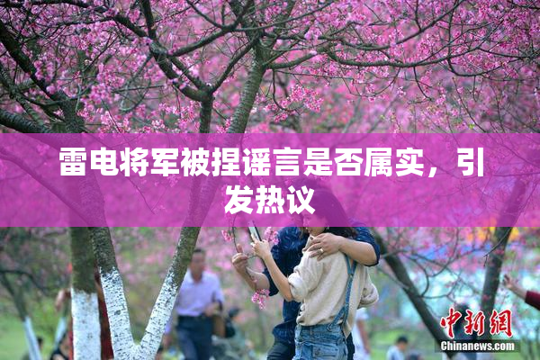 雷电将军被捏谣言是否属实，引发热议