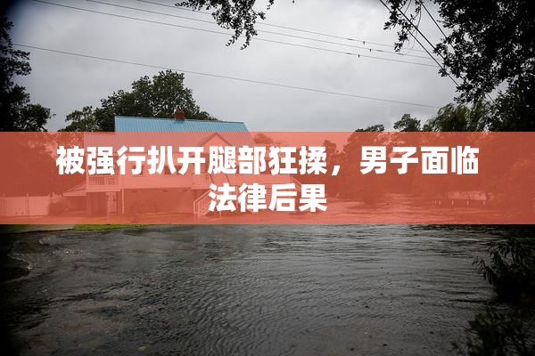 被强行扒开腿部狂揉，男子面临法律后果