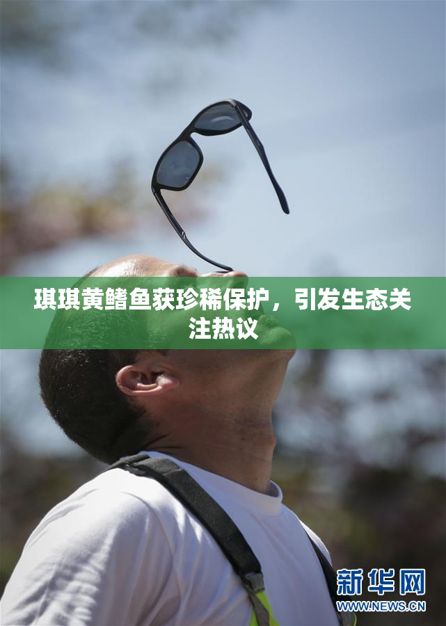 琪琪黄鳍鱼获珍稀保护，引发生态关注热议