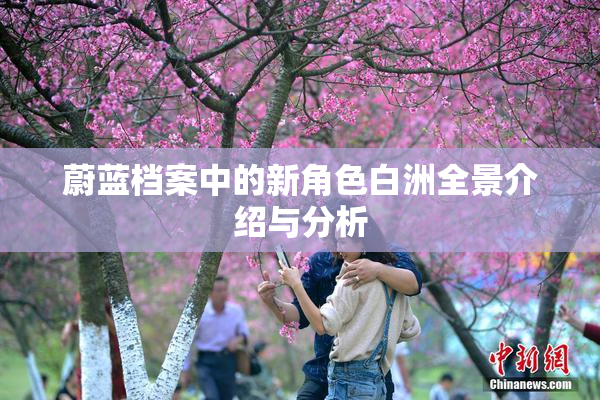 蔚蓝档案中的新角色白洲全景介绍与分析