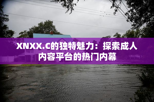 XNXX.C的独特魅力：探索成人内容平台的热门内幕