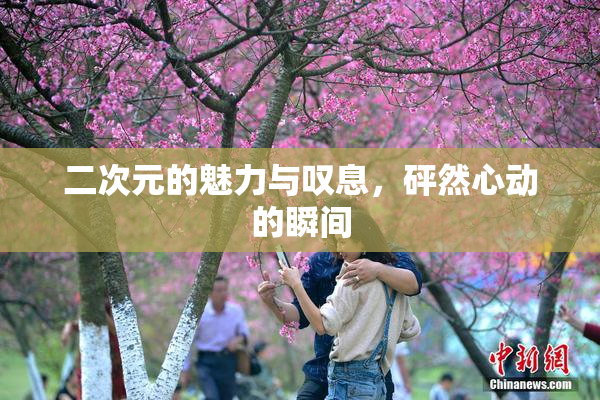 二次元的魅力与叹息，砰然心动的瞬间