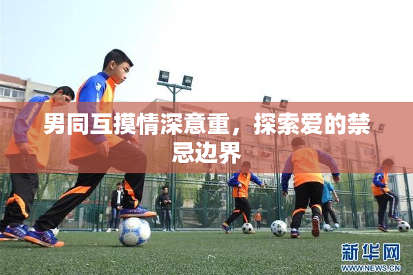 男同互摸情深意重，探索爱的禁忌边界