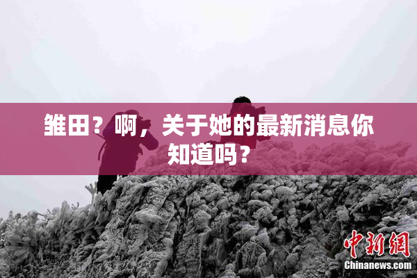 雏田？啊，关于她的最新消息你知道吗？