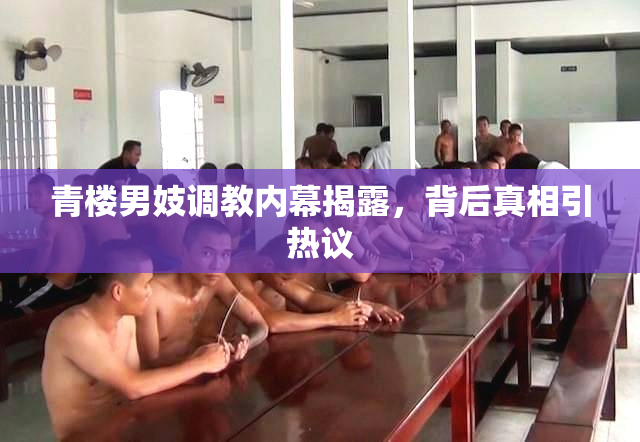 青楼男妓调教内幕揭露，背后真相引热议