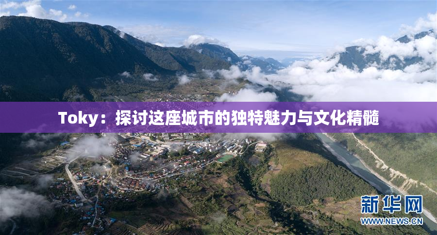 Toky：探讨这座城市的独特魅力与文化精髓