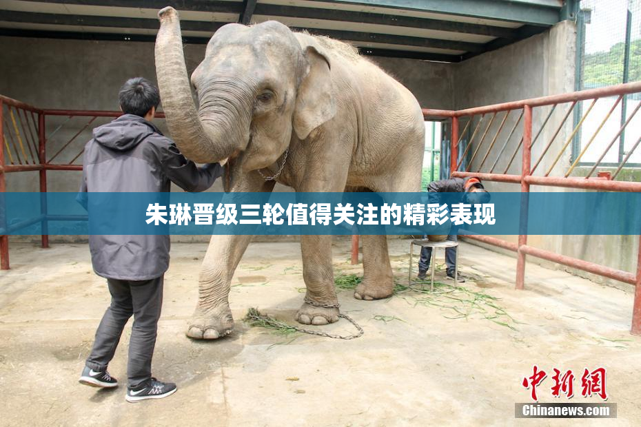 朱琳晋级三轮值得关注的精彩表现