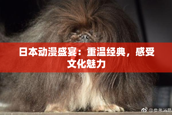 日本动漫盛宴：重温经典，感受文化魅力