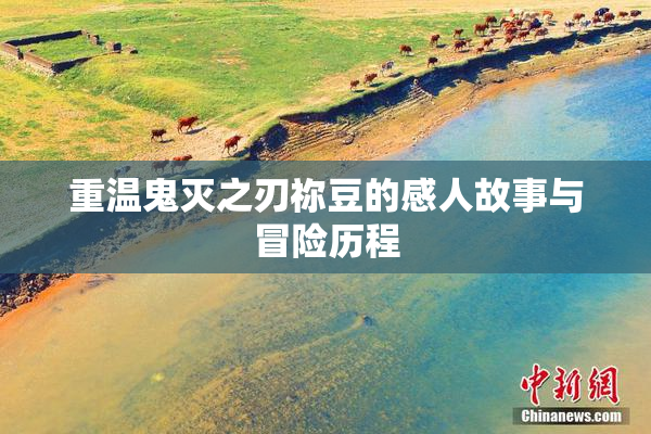 重温鬼灭之刃祢豆的感人故事与冒险历程