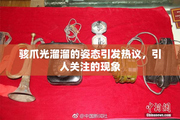 骇爪光溜溜的姿态引发热议，引人关注的现象