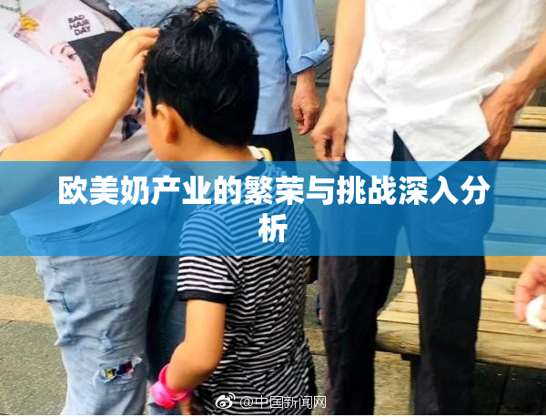 欧美奶产业的繁荣与挑战深入分析