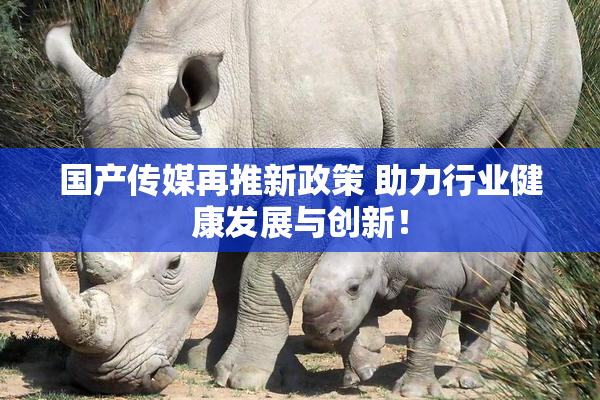 国产传媒再推新政策 助力行业健康发展与创新！