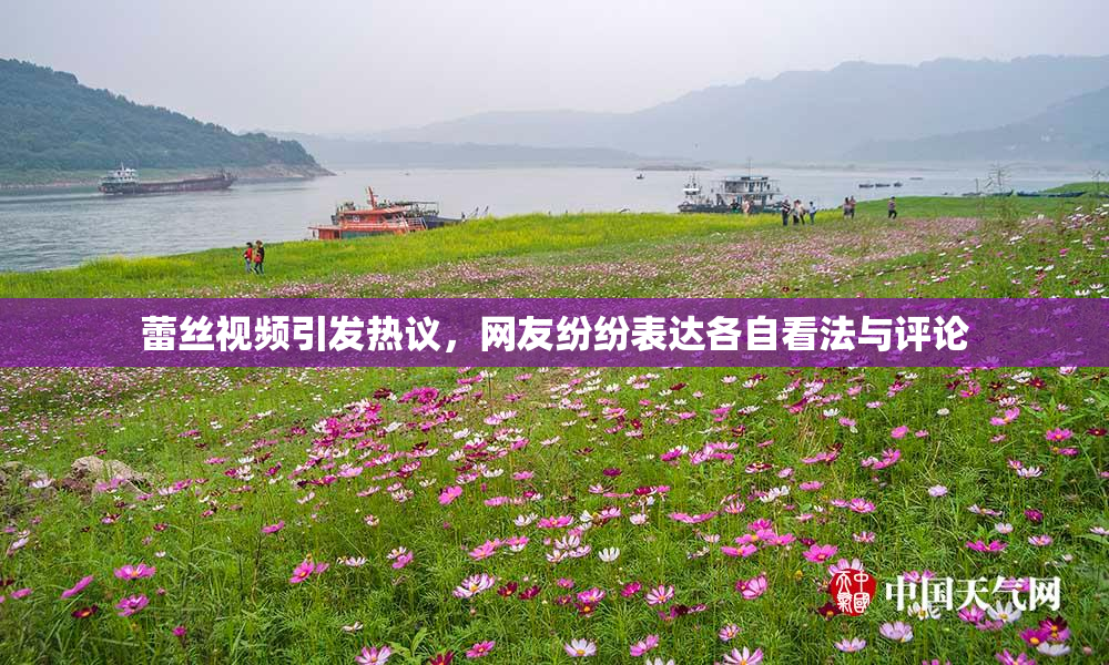 蕾丝视频引发热议，网友纷纷表达各自看法与评论