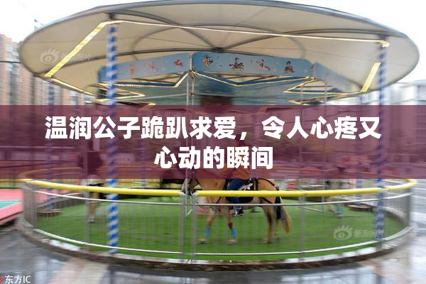 温润公子跪趴求爱，令人心疼又心动的瞬间