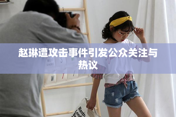 赵琳遭攻击事件引发公众关注与热议