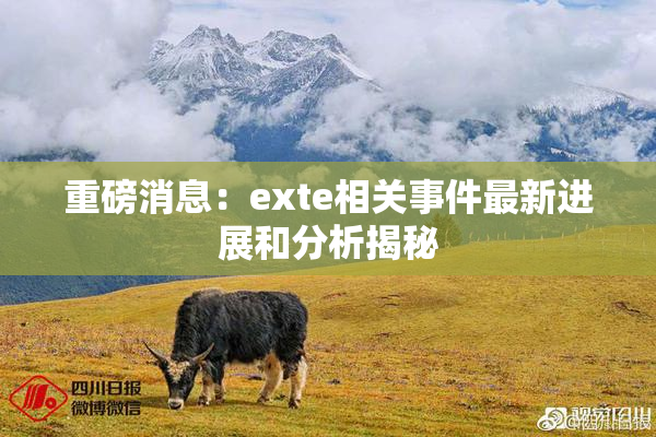 重磅消息：exte相关事件最新进展和分析揭秘