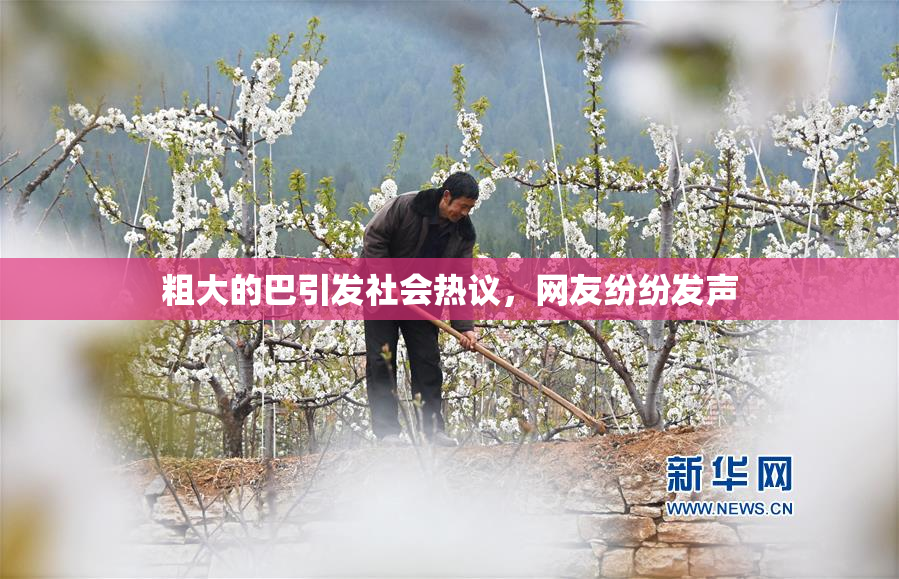粗大的巴引发社会热议，网友纷纷发声