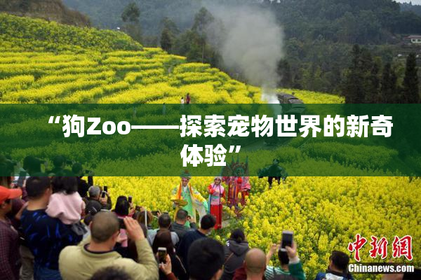 “狗Zoo——探索宠物世界的新奇体验”