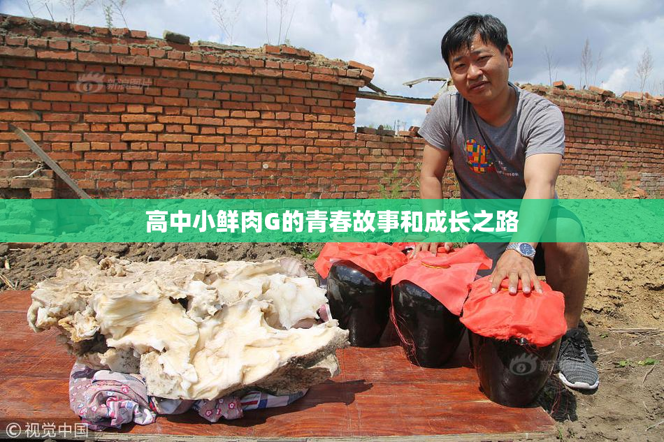 高中小鲜肉G的青春故事和成长之路