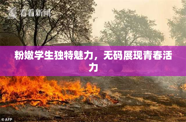 粉嫩学生独特魅力，无码展现青春活力