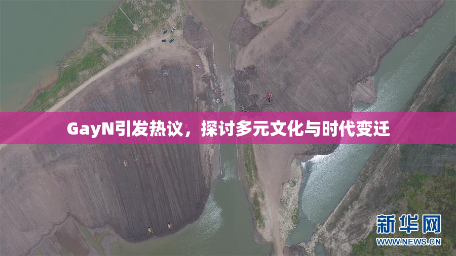 GayN引发热议，探讨多元文化与时代变迁