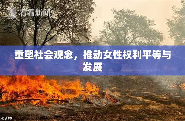 重塑社会观念，推动女性权利平等与发展