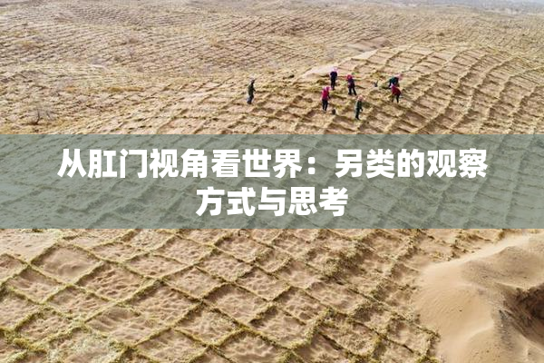 从肛门视角看世界：另类的观察方式与思考